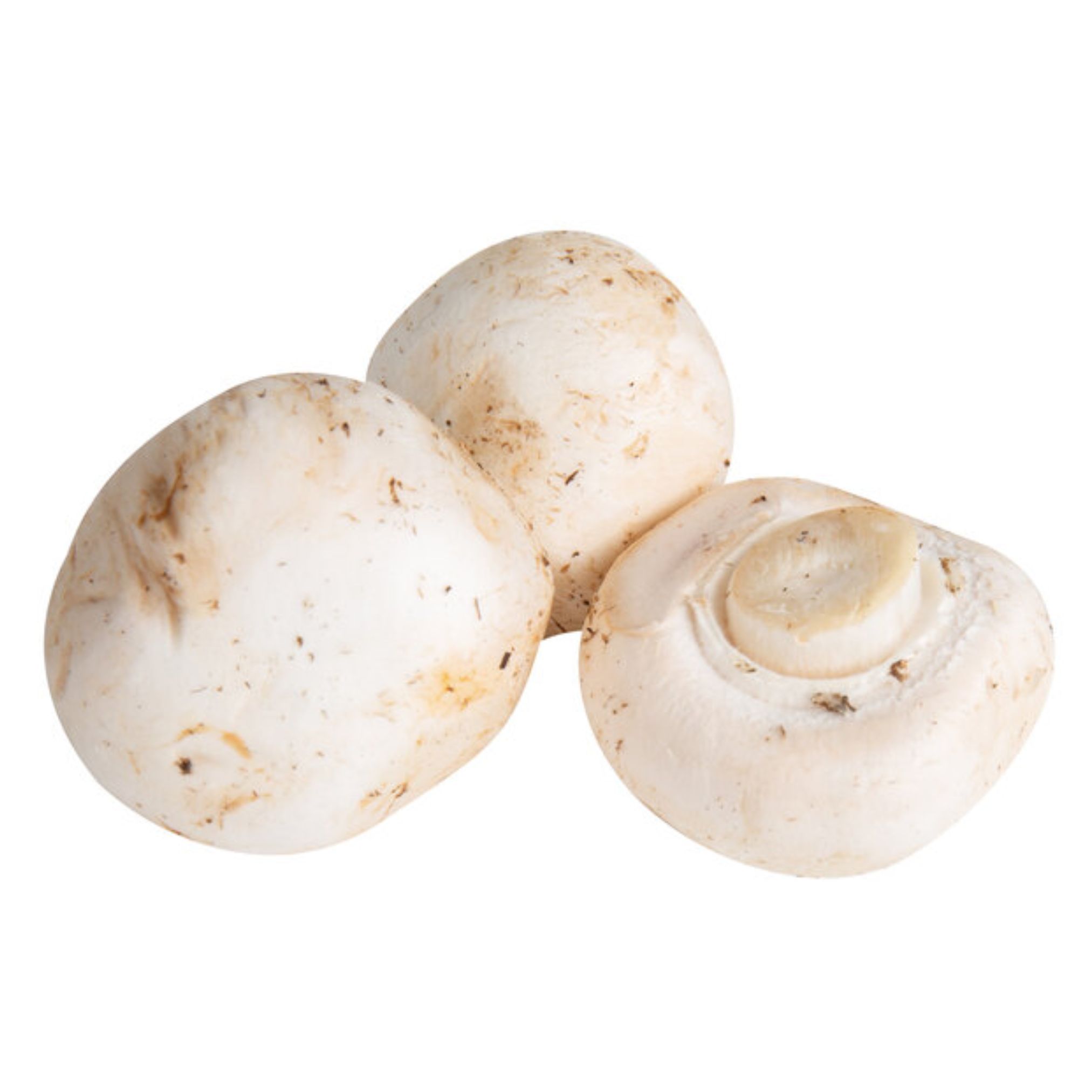 S&R Australian White Mushroom 200g S&R Australian White Mushroom 200g